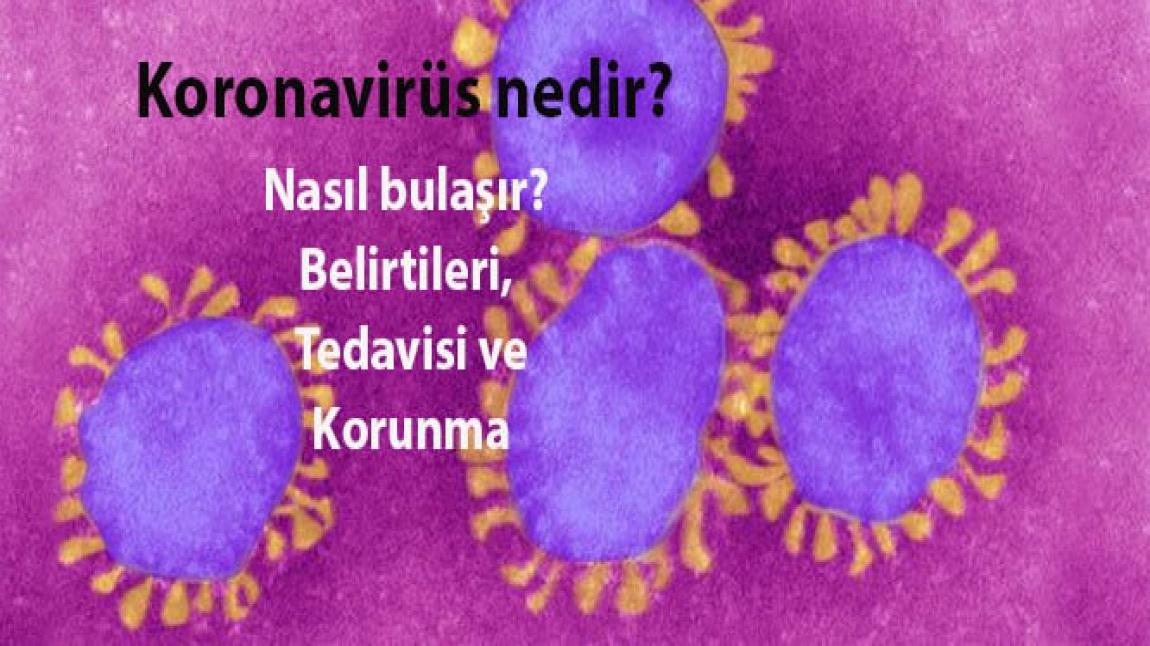 Sağlık Bakanlığı Koronavirüs ile İlgili Bilgilendirme Yayımladı